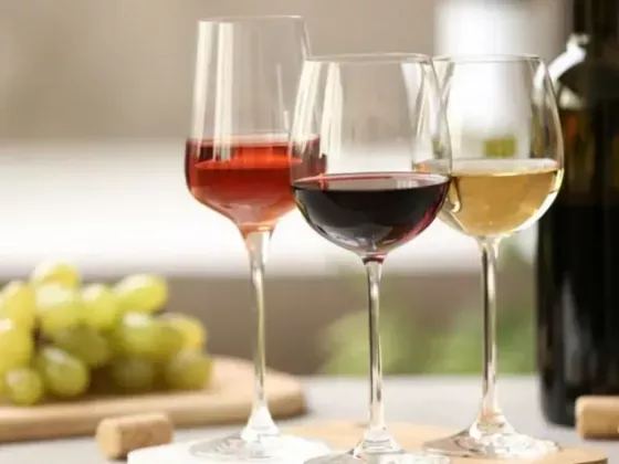 ¿Cómo se clasifican los vinos según su color?