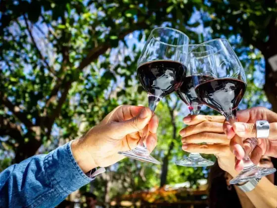 ¿Cómo se clasifican los vinos según su sabor?