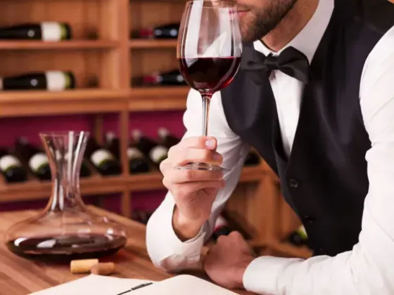 ¿Qué es un sommelier?