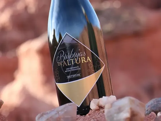 Brut Nature Burbujas de Altura