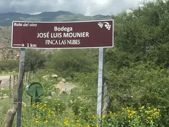 Bodega José Luis Mounier - Paisaje