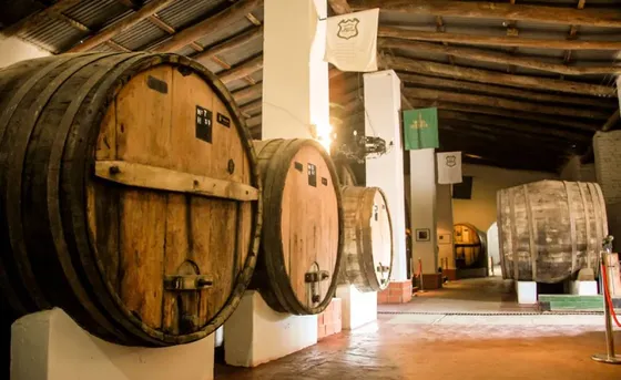 Bodega Vasija Secreta - Barricas