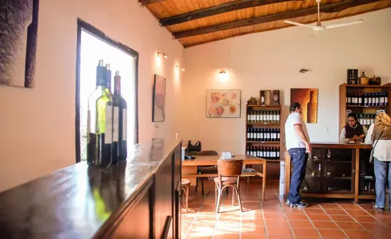 Bodega Vasija Secreta - Casona