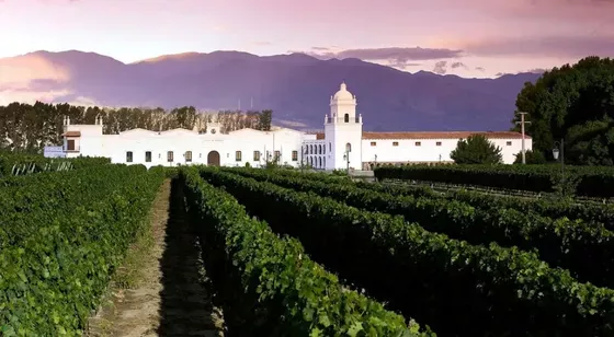 Bodega El Esteco - Viñedos