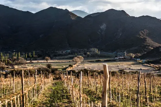 Bodega Puna - Paisaje