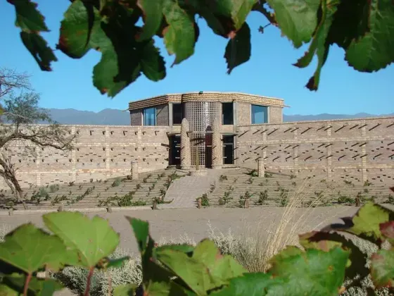 Bodega Tolombón - Casona