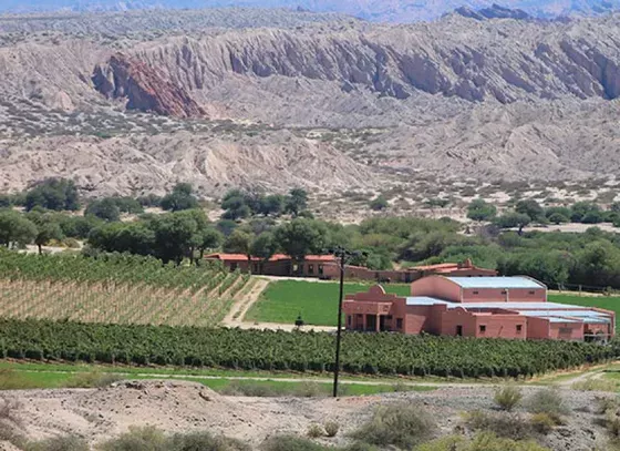 Bodega El Cese - Paisaje