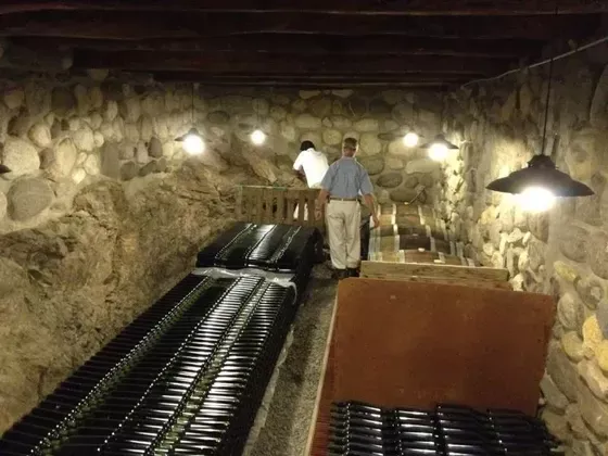 Bodega El Molino Producción