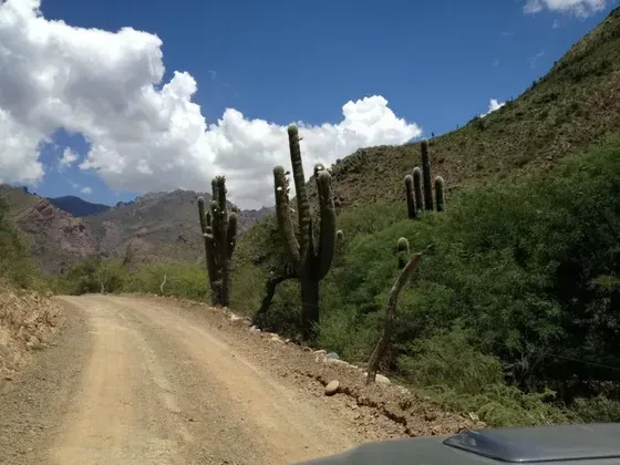 Bodega El Molino Paisajes