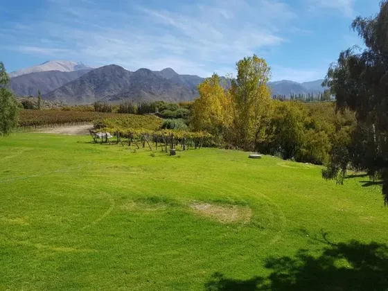 Bodega El Molino Vista de Viñedos