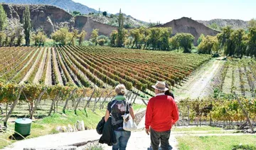 Bodega Isasmendi