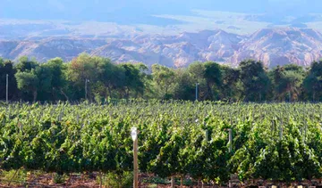 Bodega Peña Veyrat Durbex