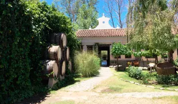 Bodega y Viñedos Nanni SA