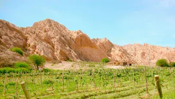 Bodega Quebrada de las Flechas