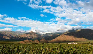 Bodega Dal Borgo