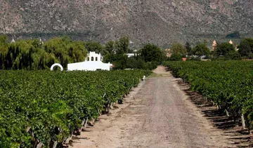 Bodega El Porvenir de Cafayate