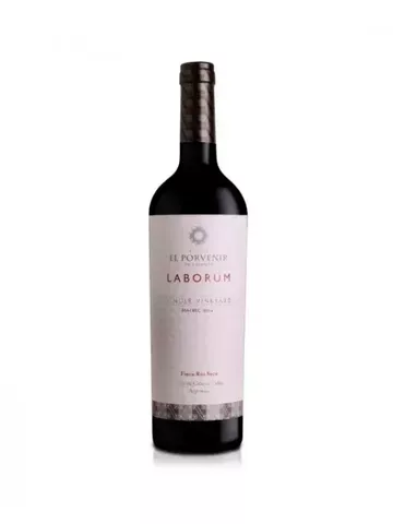 Laborum Single Vineyard Bodega El Porvenir de Cafayate (Malbec)