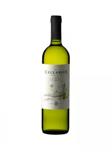 Cellarius Bodega Isasmendi (Torrontés)