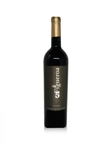 Los 5 Figueroa Bodega Salvador Figueroa (Malbec)