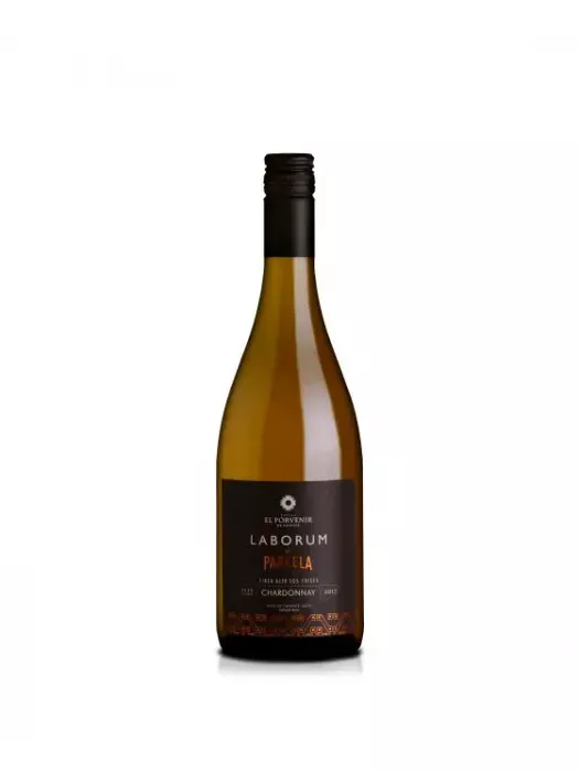 Chardonnay de Finca Alto Los Cuises