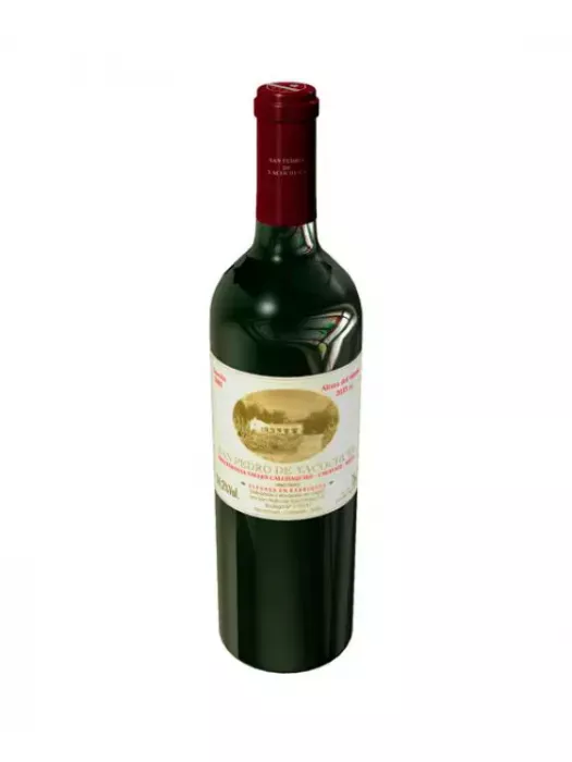 San Pedro de Yacochuya Malbec